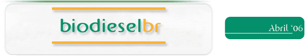 Boletim de Not&iacute;cias -
			BiodieselBR