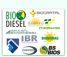 Todas as F&aacute;bricas de Biodiesel