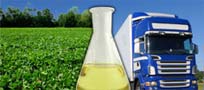 Manual de biodiesel
