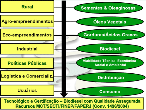  Riobiodiesel Estrutura