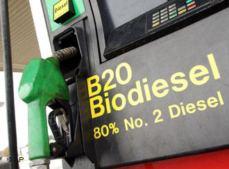 Alemaes vao pagar mais caro pelo biodiesel