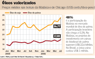 &Oacute;leo de Palma valorizado