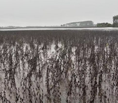 Fábio Eckert - Arquivo Pessoal