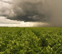 Divulgação - Emater-RS