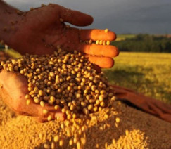 Jonas Oliviera - Fotos Públicas