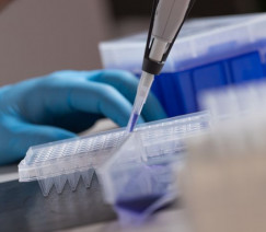 Wenderson Araújo - CNA