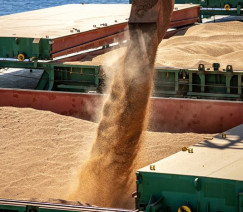 Claudio Neves - Portos do Paraná