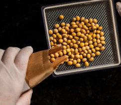 Wenderson Araújo - CNA