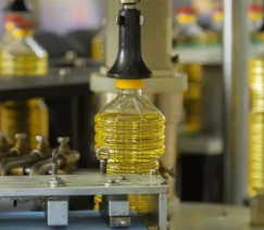 Reprodução - Trans-Oil