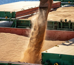 Claudio Neves - Portos do Paraná