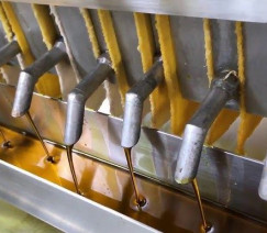 Reprodução - Ecirtec