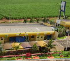 Reprodução - Petroball