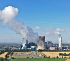 Grunzibaer - Pixabay