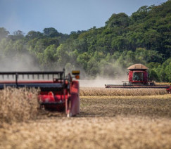 Wenderson Araújo - CNA