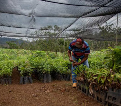 Flavio Forner - ASL Brasil