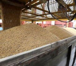 Claudio Neves - Portos do Paraná