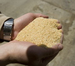 Divulgação - United Soybean Board