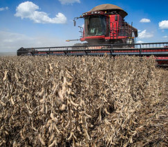 Wenderson Araújo - Sistema CNA/Senar