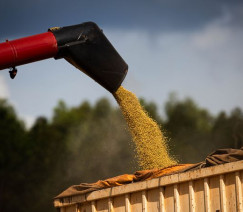 Wenderson Araújo - Sistema CNA/Senar