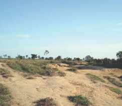 Mailda Lyra - Embrapa