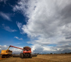 Divulgação - Sistema CNA/Senar