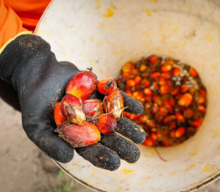 Wenderson Araújo - Sistema CNA/Senar