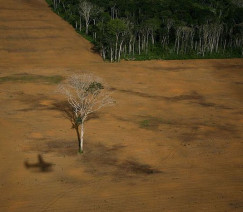 Daniel Beltrá - Greenpeace