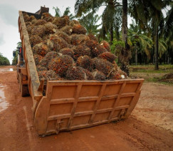 Wenderson Araújo - Sistema CNA/Senar
