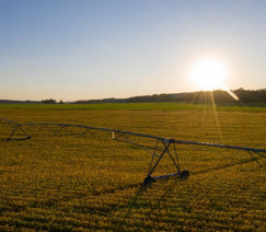 Divulgação - United Soybean Board