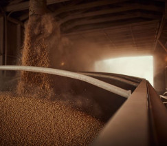 Divulgação - United Soybean Board