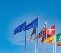 Dušan Cvetanović – Pixabay