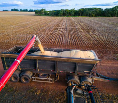 Wenderson Araújo - Sistema CNA/Senar