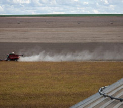 Wenderson Araújo - Sistema CNA/Senar