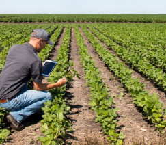 Divulgação - United Soybean Board