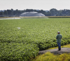 Divulgação - United Soybean Board