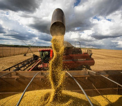 Wenderson Araújo - Sistema CNA/Senar
