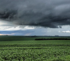 José Fernando Ogura - Agência Estadual de Notícias