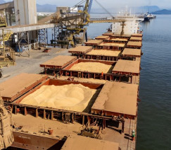 Claudio Neves - Portos do Paraná