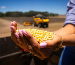 Wenderson Araújo - Sistema CNA/Senar