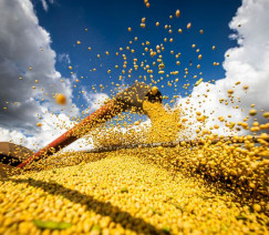 Wenderson Araújo - Sistema CNA/Senar