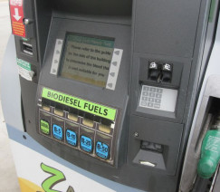 Divulgação - United Soybean Board