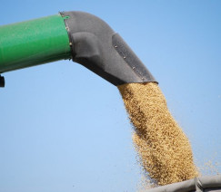 Divulgação - United Soybean Board