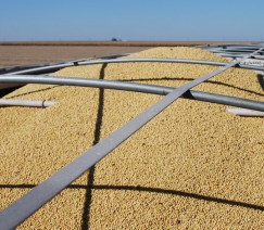 Divulgação - United Soybean Board