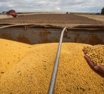 Wenderson Araújo - CNA