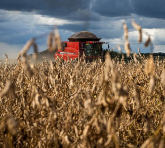 Wenderson Araujo - CNA