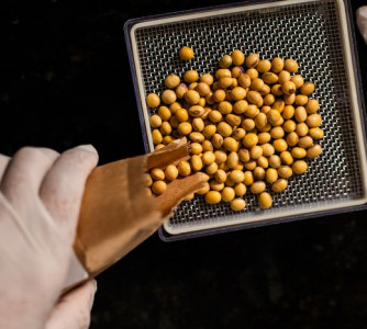 Wenderson Araújo - CNA