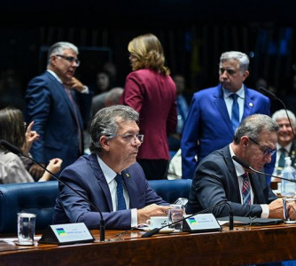 Andressa Anholete - Agência Senado