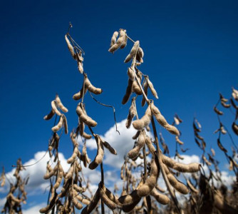 Wenderson Araújo - CNA