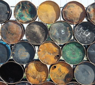 Sujin Paluga - Pixabay