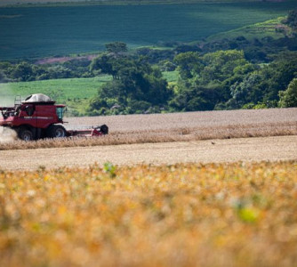 Wenderson Araújo - CNA